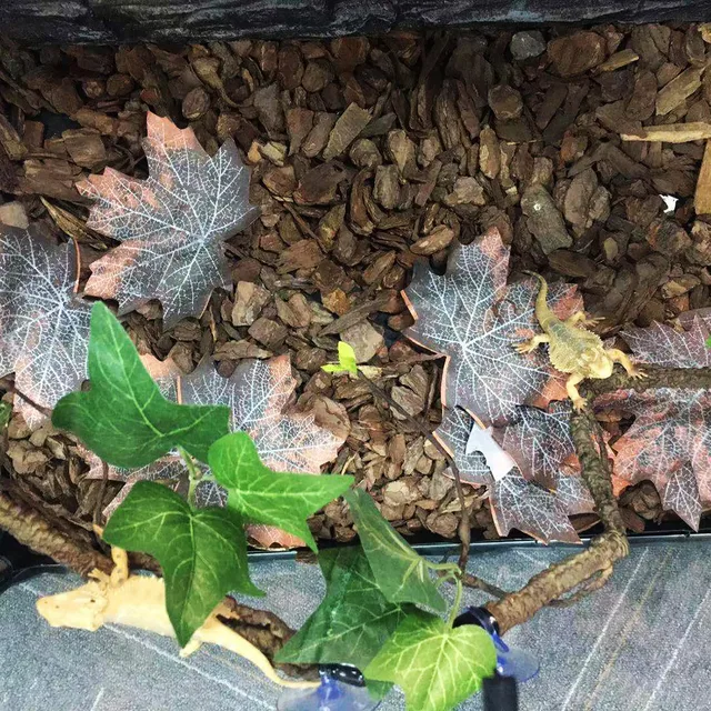 Hüllómászó Szőlő 2Pcs Terrárium Növényi Dekoráció Szívópohár Műanyagok Ágakkal Pet Tank Élőhely Dekorációja - Image 4
