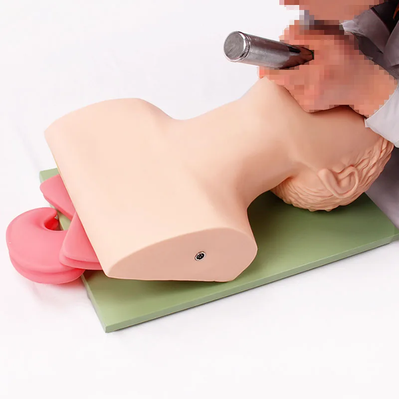 Adult Electronic Human Tracheal Training Model Endotracheal Intubation Training Manikin with Tooth Pressure Alarm
