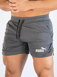 Men's Quick - Dry Mesh Sports and Casual Beach Shorts - Asian size3XL (3)