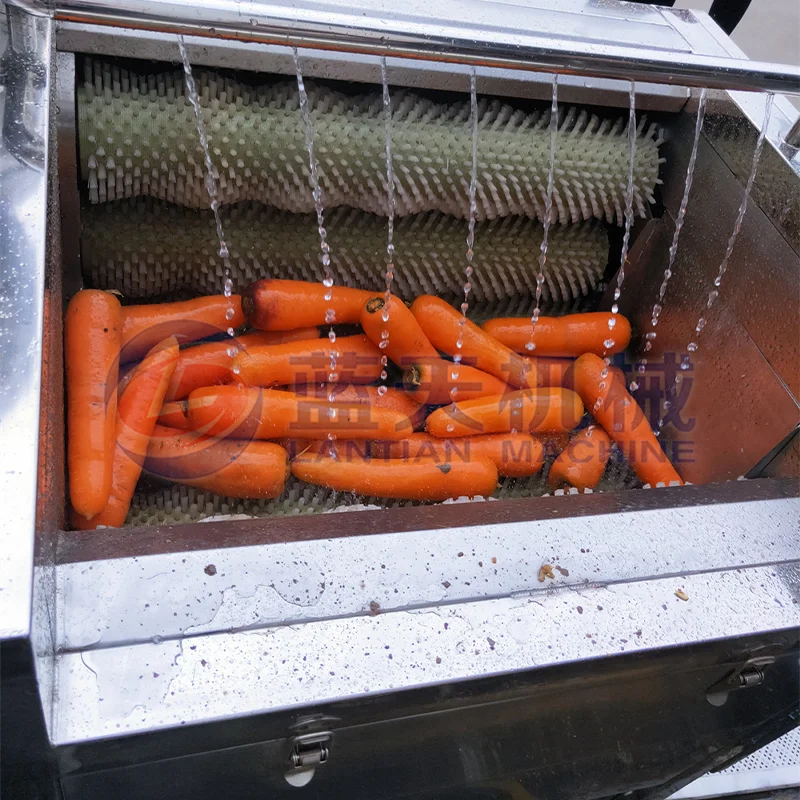 Automatic Root Vegetable Roller Brush Cleaner Ginger Carrot Radish Sweet Potato Ginger Washing Cleaning And Peeling Machine 4