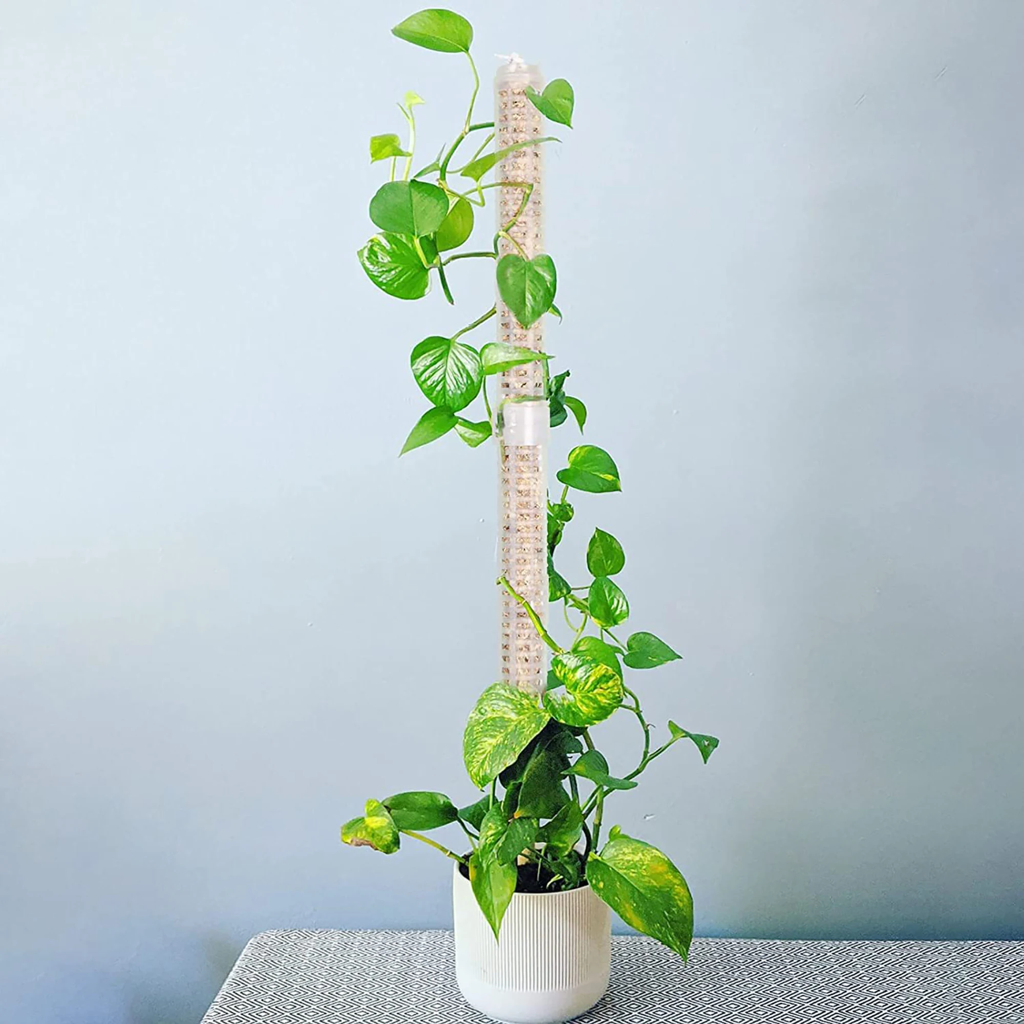 Plant Climbing Frame Stackable Plant Moss Stick Hollowed Design Moss Pole Potted Plants Climbing Supporting Stick garden stake plant stakes