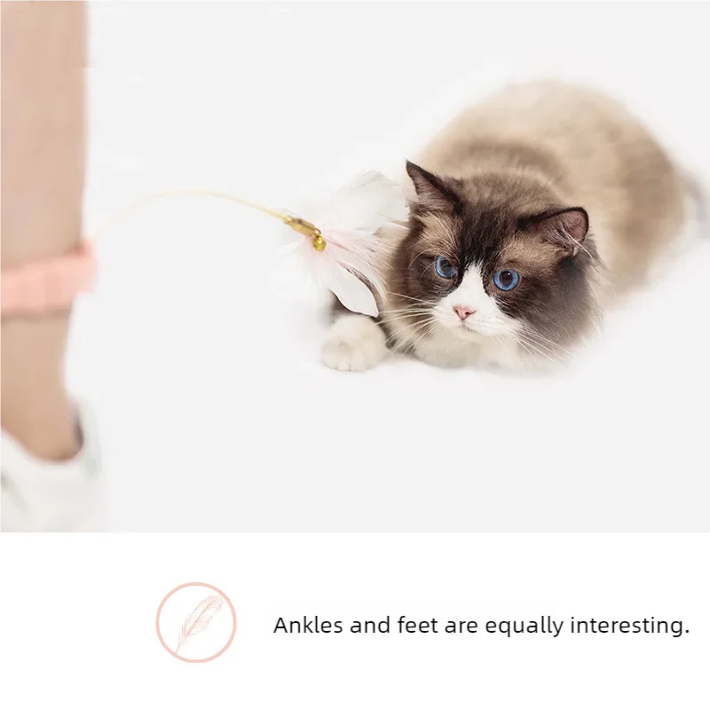 Silicone collar, cat teasing stick, cat toy, self fun, multi-color spring feathers, teasing cats to relieve boredom
