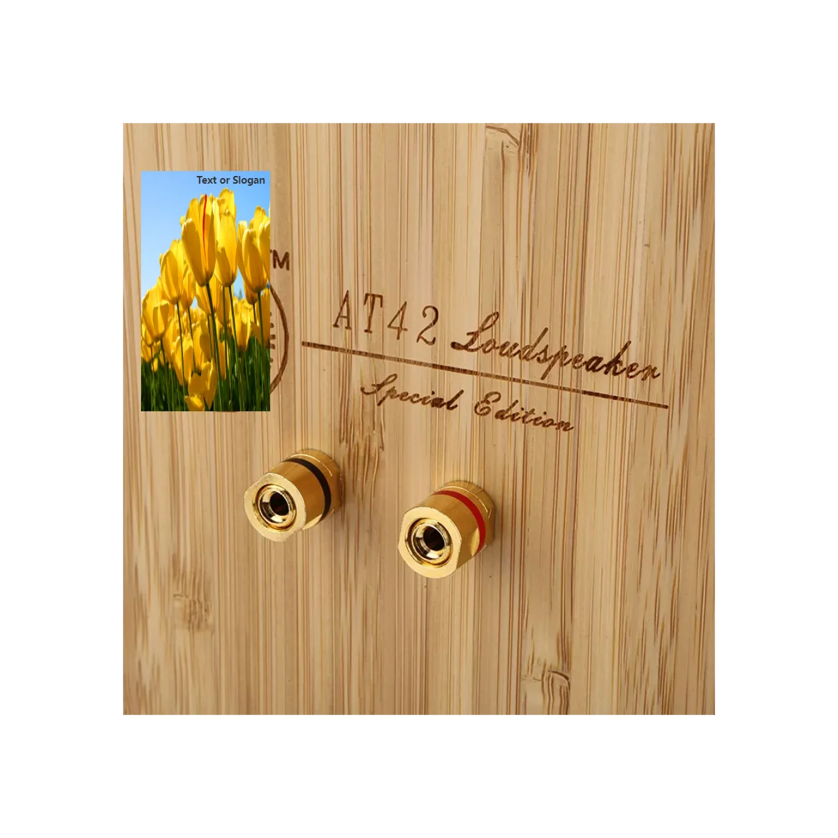 

Hifi мини Система домашнего кинотеатра hifi колонки для колонок книжная полка
