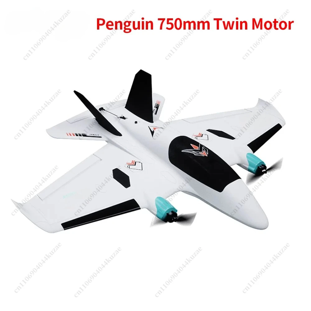 Détail des ailes et des moteurs de l'avion RC FPV double moteur PNP, conçu pour une expérience de vol immersive et performante.