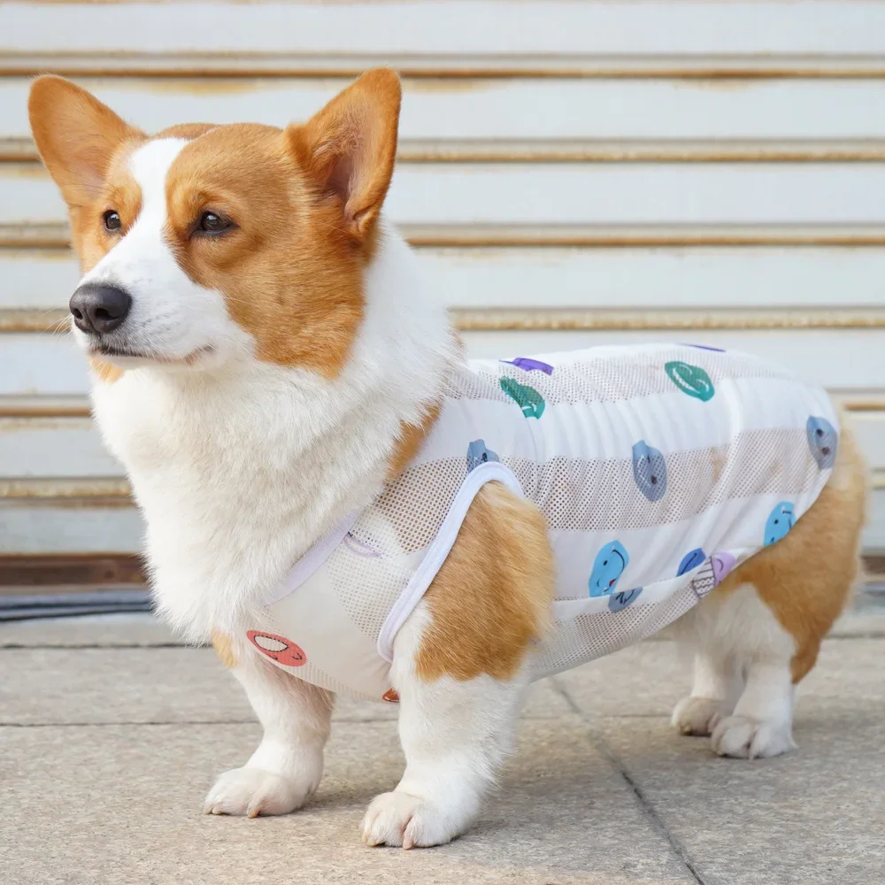 

Dog Summer Clothes New Pet Costumes Thin Undershirt Cats Teddy Corgi Shiba Inu Golden Hair Clothes