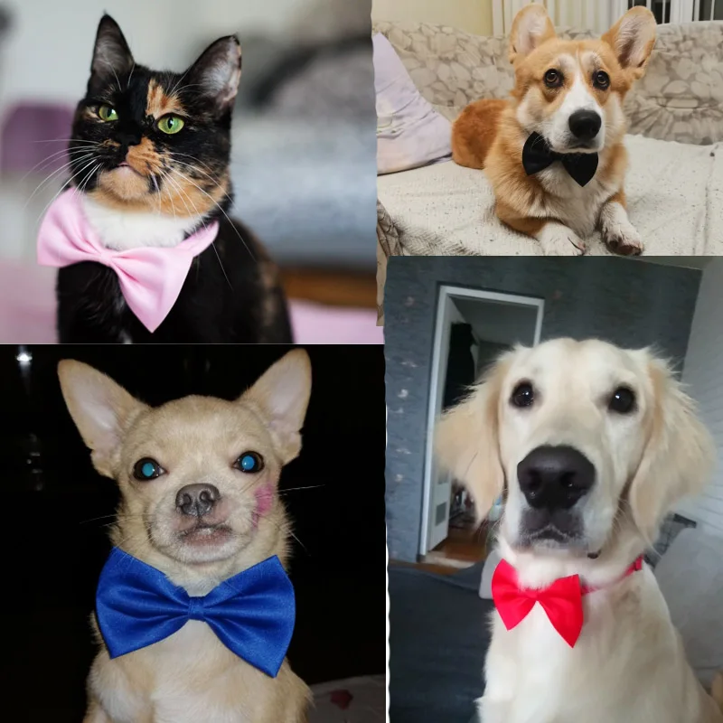 Pet Dog Cat Necklace Formal Necktie Adjustable Bow Tie Portable Collar For Cat Dog Accessories Suit For Small Medium Dog And Cat 3