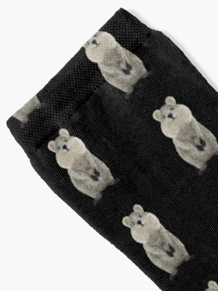 Quokka! Socks Sock Christmas Men Socks