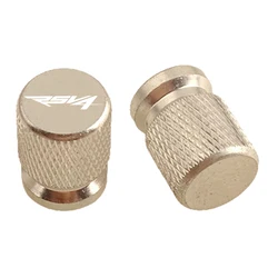 Enhanced Motorcycle Valve Cap for Premium Performance (Silver - A)