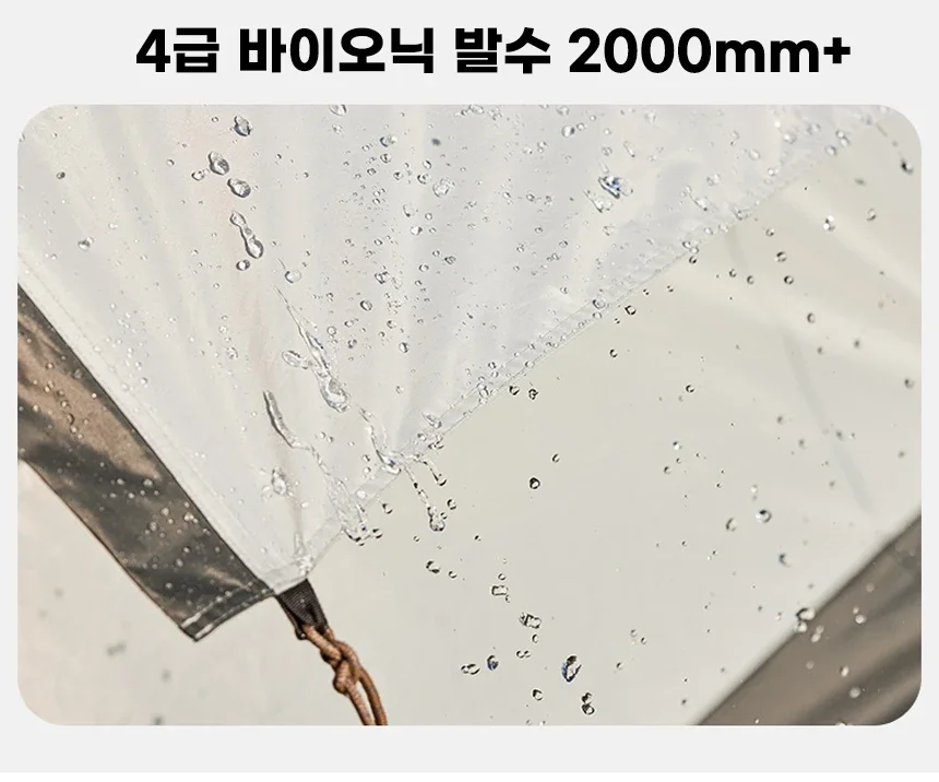 S58986cf41c35464eb6cd369b636eb987c.png