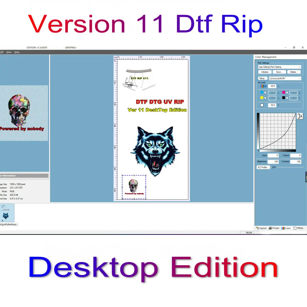 DTF Usb RIP Software 11.2 Desktop Wide Format Dongle Key For Epson L1800 L805 R1390 XP-15000 P700 P900 DTF Printer Version 11.2