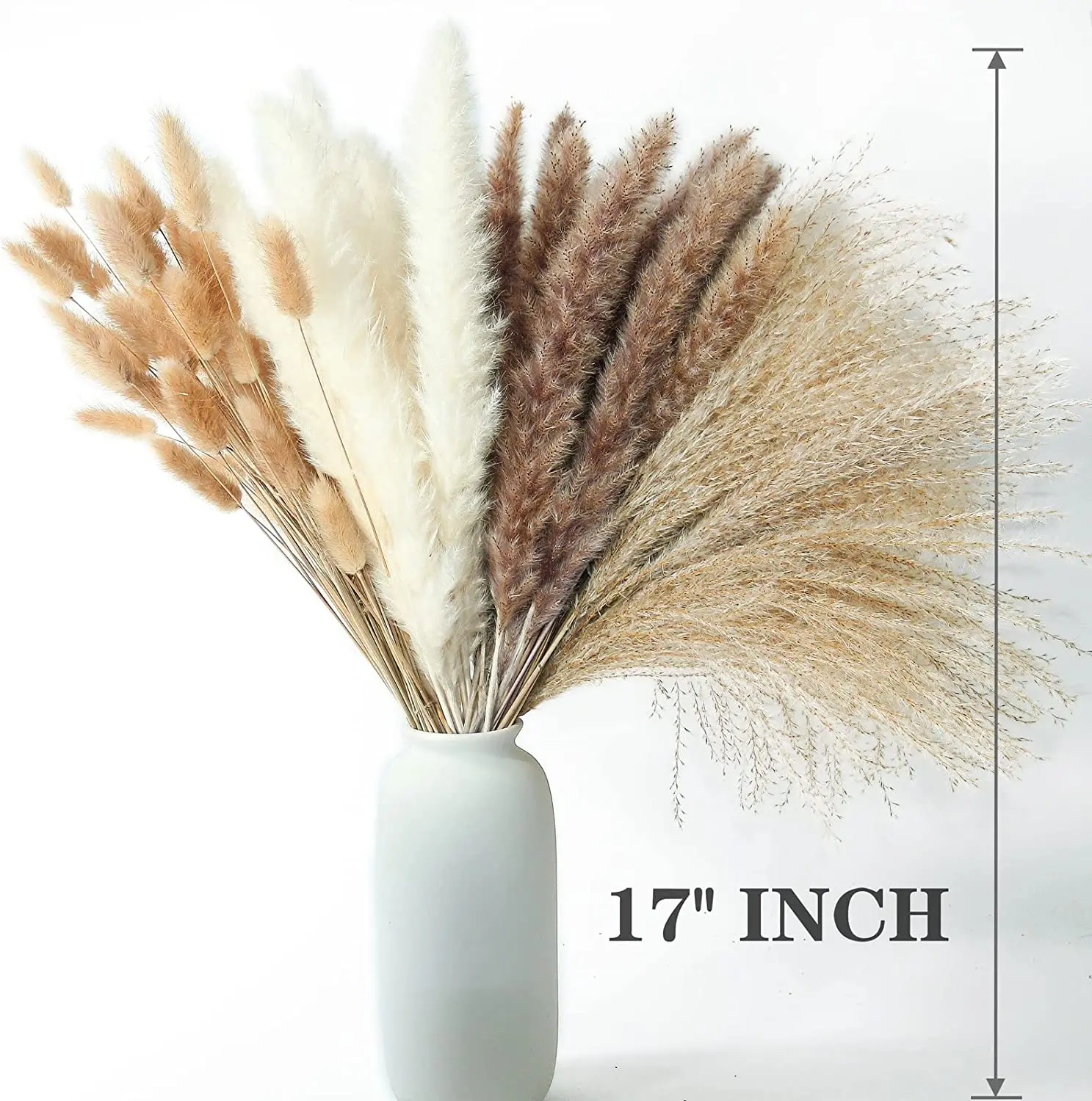 

100 PCS Dried Pampas Grass ,Contains Bunny Tails Dried Flowers,Reed Grass Bouquet for Wedding Boho Flowers Home Table Decor