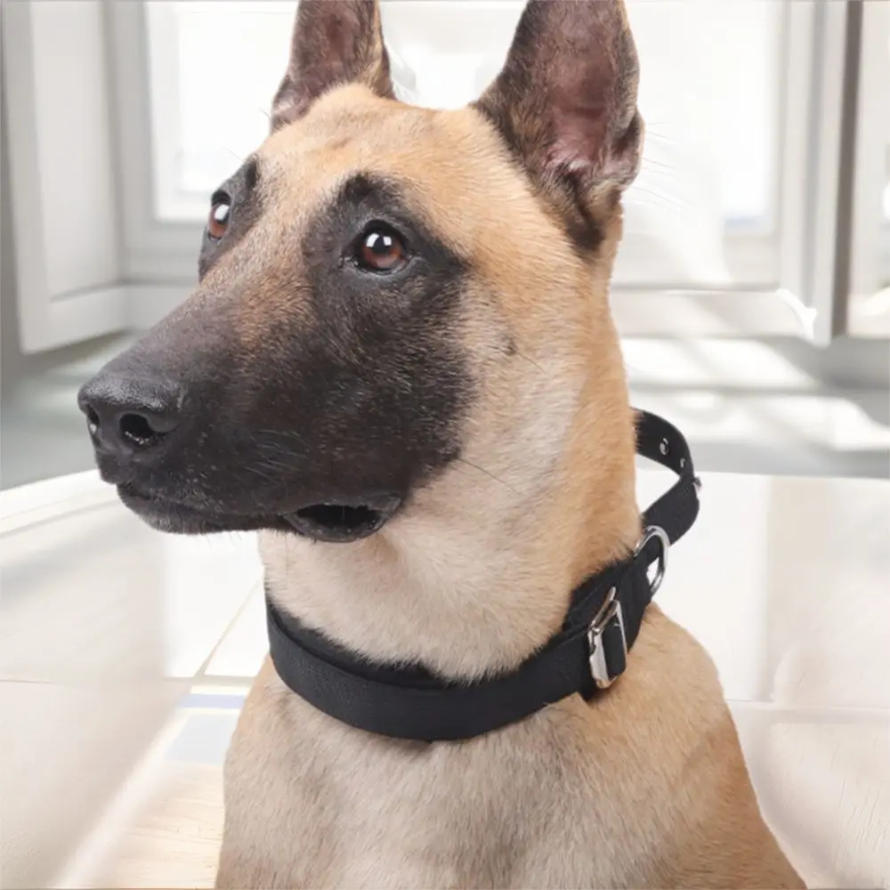 Durable & Breathable Adjustable Metal Buckle Dog Training Collar