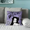 O-OliviaS Singer R-RodrigoS Pillow Case Soft Cushion Cases for Farmhouse Sofa Decor Home Decorations and Protector 3