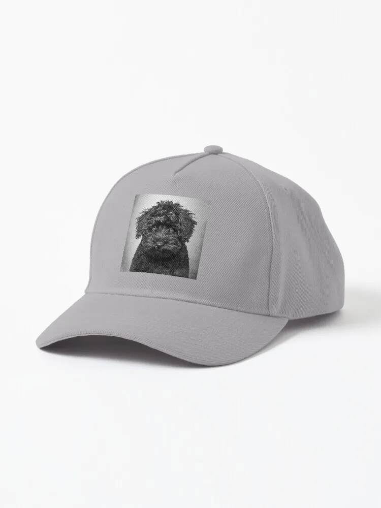 

Toy Poodle dog - BW Vintage - D86 Cap aston martin alonso Woman hat boeing dreamcast