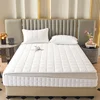 Six Sides Full Enclosed Mattress Protector Cover with Zipper Closure Thicken Quilted Mattress Topper Pad Luxury Soft Bed Sheet 2