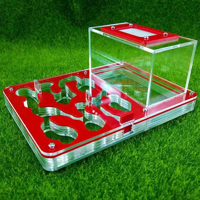 

Red Acrylic Flat Ants nest Ants Farm For Pet Ants House Insect Terrarium