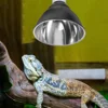 Reptile Lampshade Bearded Dragon Light Fixture Heats Basking Terrarium Dome Uvb Covers 4