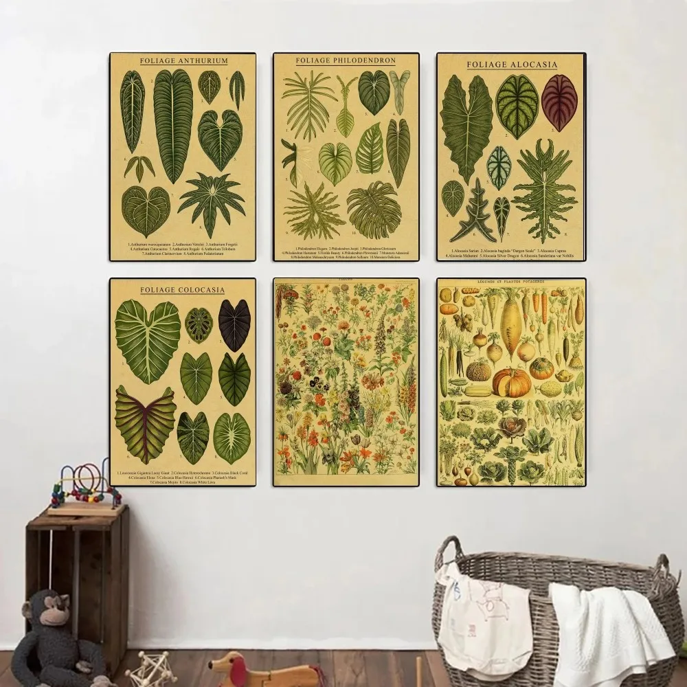 

Botanical printing, flowers, herbs, botanical illustrations Posters Kraft Paper Vintage Poster Wall Art Small Size wall stickers