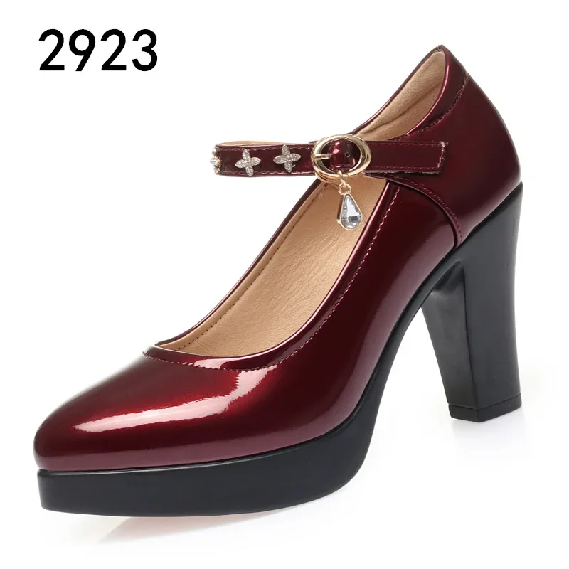 2024 New Fashion Platform High Heels Women Round Toe Black Pu Leather Square Heel Pumps for Party Dress Lady Shoes Zapatos Mujer 5