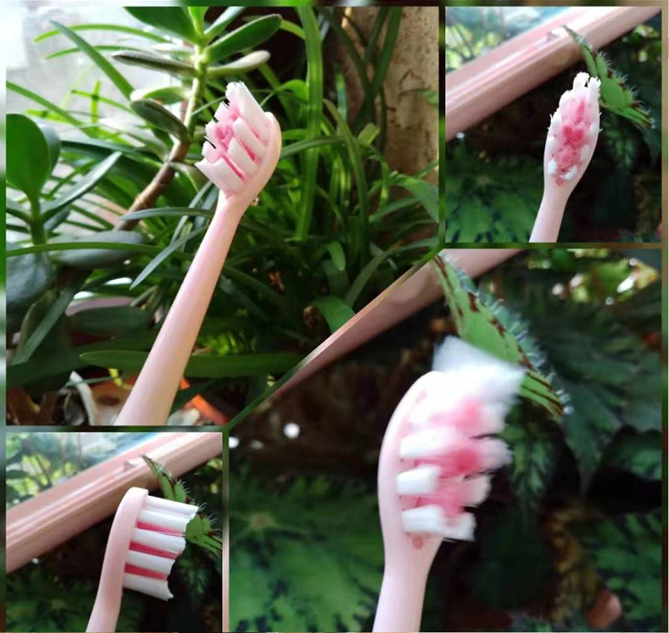 Brush 5 Mode Recarregável Branqueador Escova de