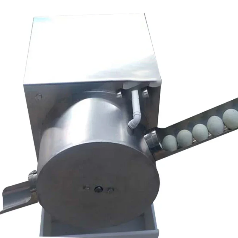 220V Electric Stainless Steel Egg Washing Machine Egg Surface Cleaner Single Port Washing Machine Chicken Duck Goose