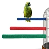 Pet Paw Grinding Stick Bird Parakeet Parrot Toy Bird Toy Grinder Grinding Rod Gripper Pet Supplies Bird Grinding Claw Toys 2