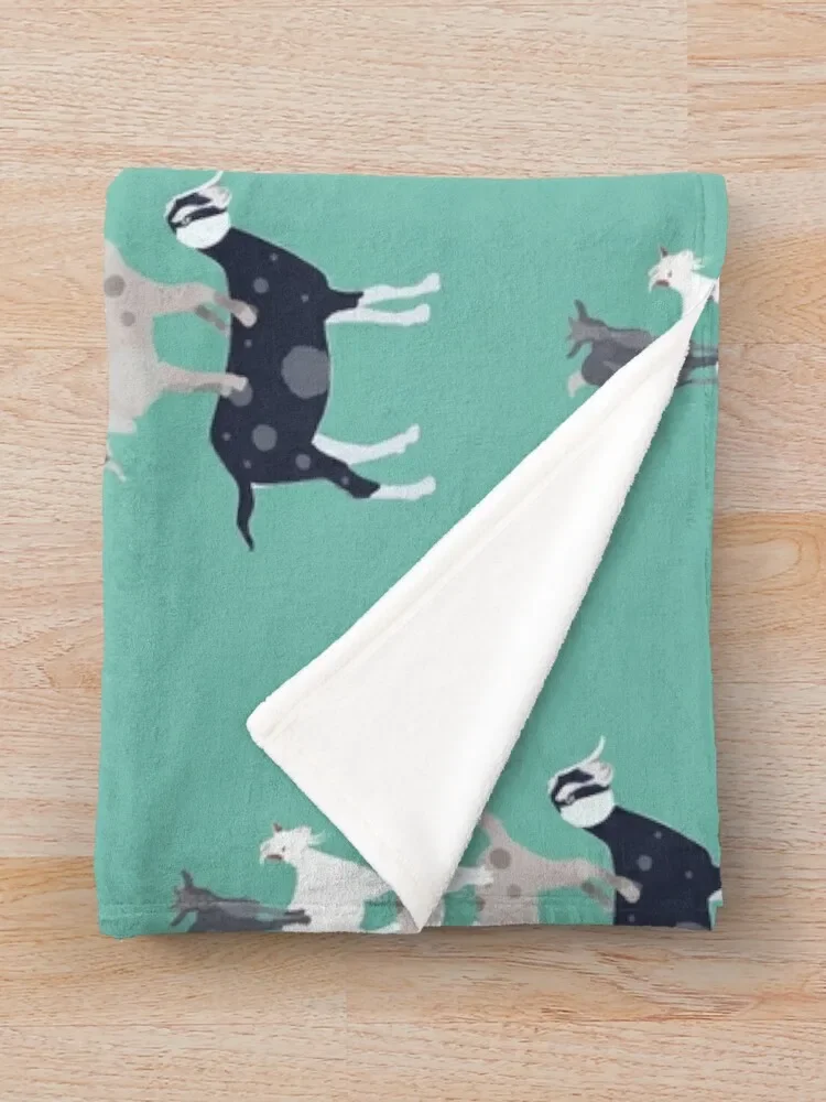 ���� ���� ������ ���, ���� ���� ķ�� ���� ���