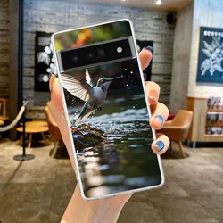 Transparent Soft TPU Hummingbird Phone Case Cover - Google Pixel 3a (B7)