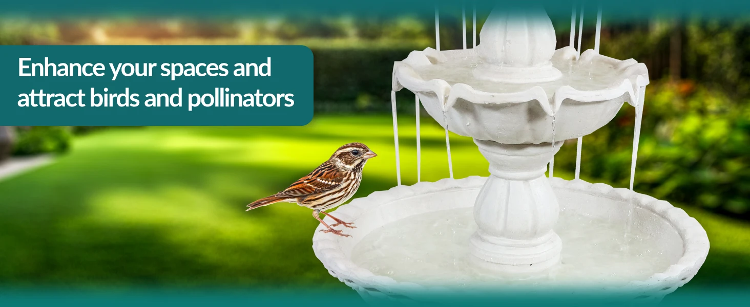 Enhance your spaces and attract birds and pollinators