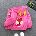 Image 13