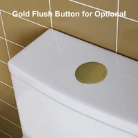 One Piece Toilet with Gold Button, Elongated Toilet with Comfort Seat Height, Standard White Toilet Bowl, Gold Tank Button 2