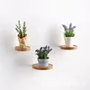 3Pcs Wall Shelves Set Oak Wood Round Floating Shelf Wall Mounted Plant Shelf Home Decoration Mini Rustic Wall Storage Racks 2