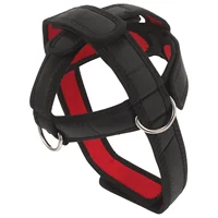 Head Training Harness Neck Strength Training Strap Portable Neck Trainer Practical Neck Tool For Gym Indoor Neck Trainer 1