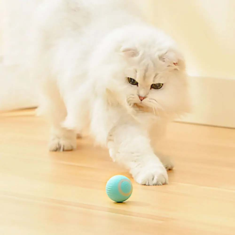 

Умные игрушки для кошек, автоматический катящийся мяч, электрическая игрушка-кошка, Интерактивная для кошек, обучающая, самодвигающийся котенок, игрушки для игр в помещении