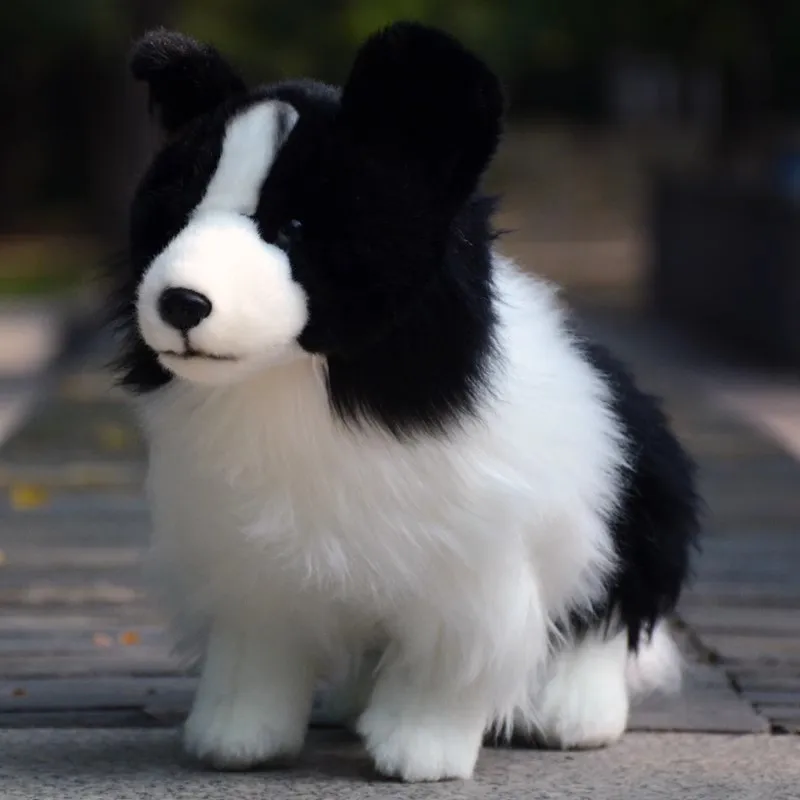 

Cute Border Dog Pet Doll Simulation Animal Shepherd Dog Plush Toy Dolls Christmas Birthday Gift 15.75inch 40cm DY80109