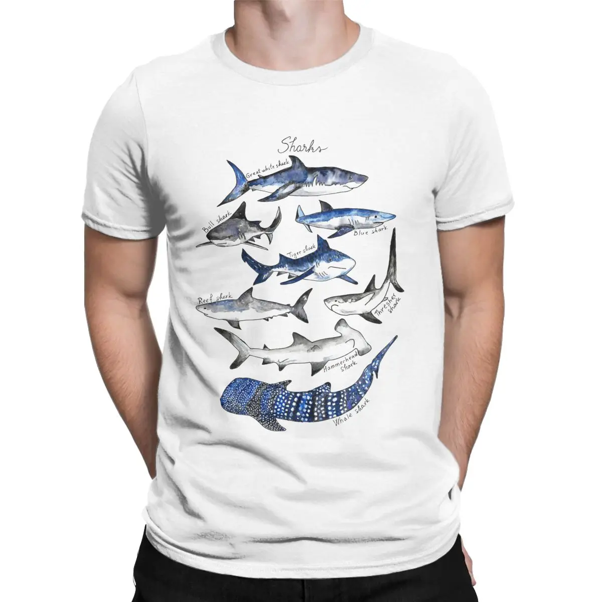 

Sharks Watercolor Chart T-Shirt ocean marine biology 100% Cotton Creative T-Shirts O Collar Shirt Short Sleeve Clothes Plus Size