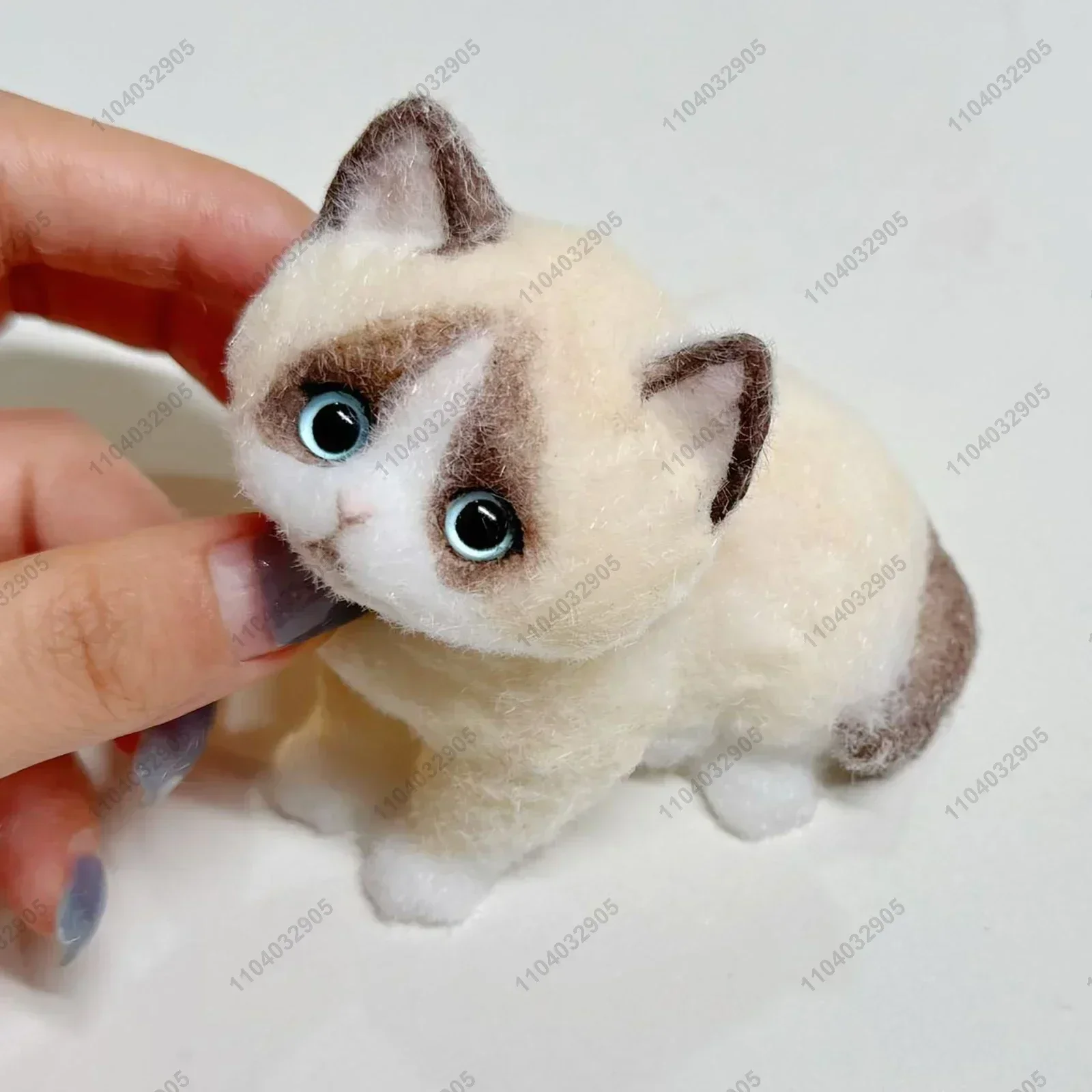 Raccoon cat
