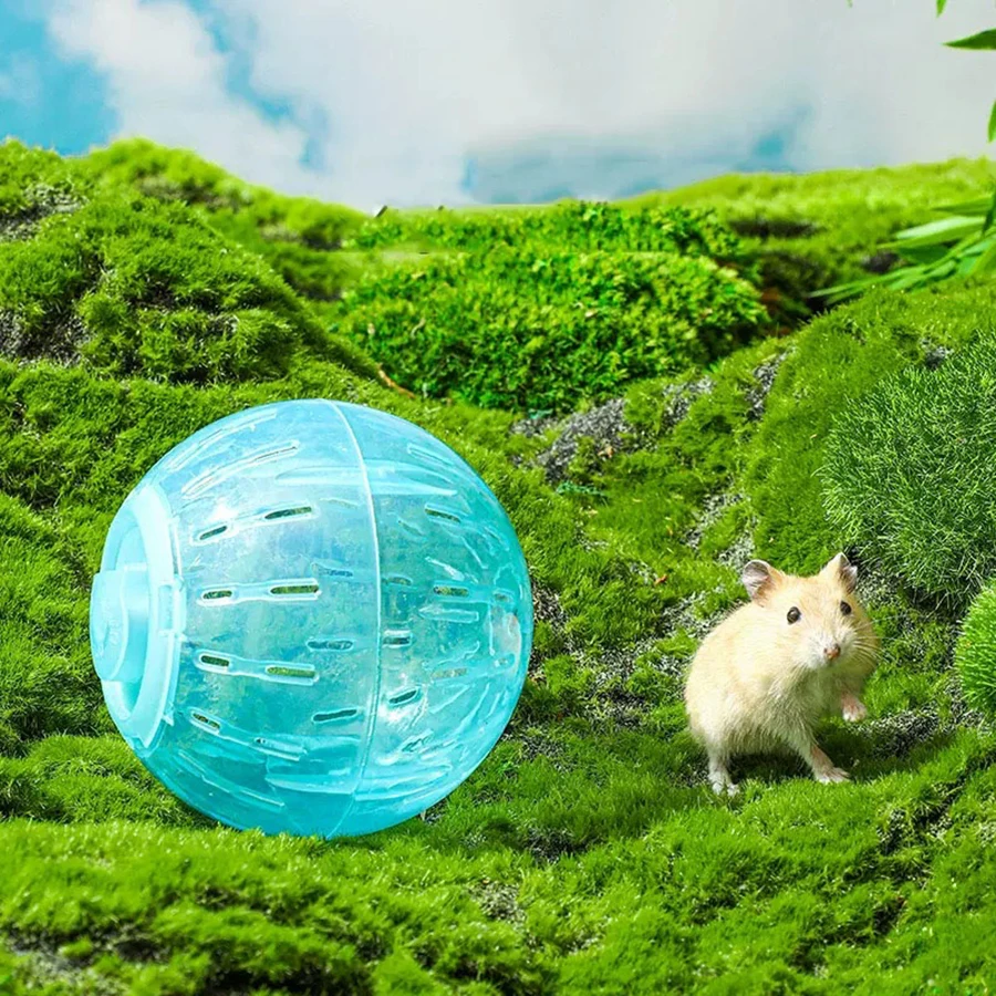 Pet Exercise Balls Hamster Running Ball Non-jamming Rolling Transparent Crystal Fitness Sports Ball