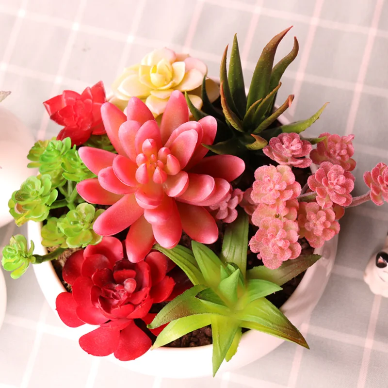 Vibrant Multicolor Flocking Succulent Plants