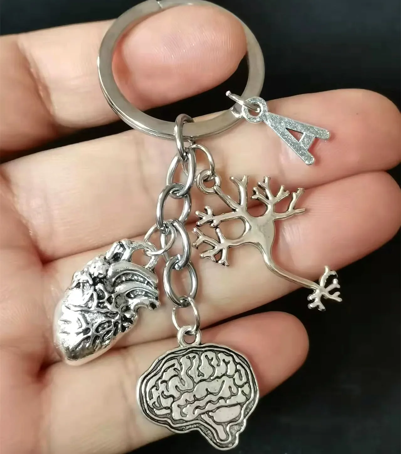 Brain Heart Neuron 26 Letters Heart Brain Neurological Medical Key
