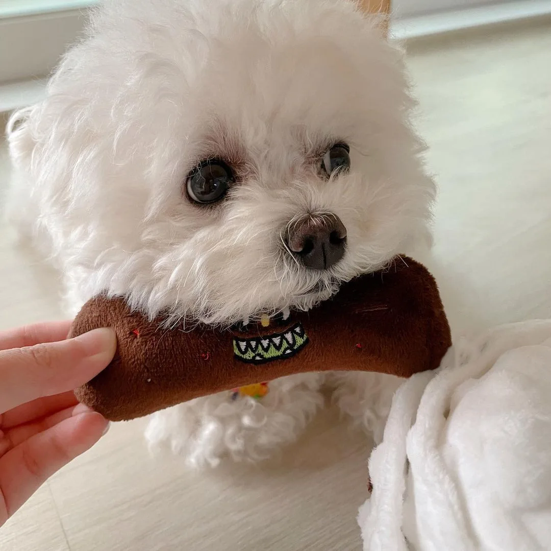 Set Dog Toy - Cute Interactive Toy