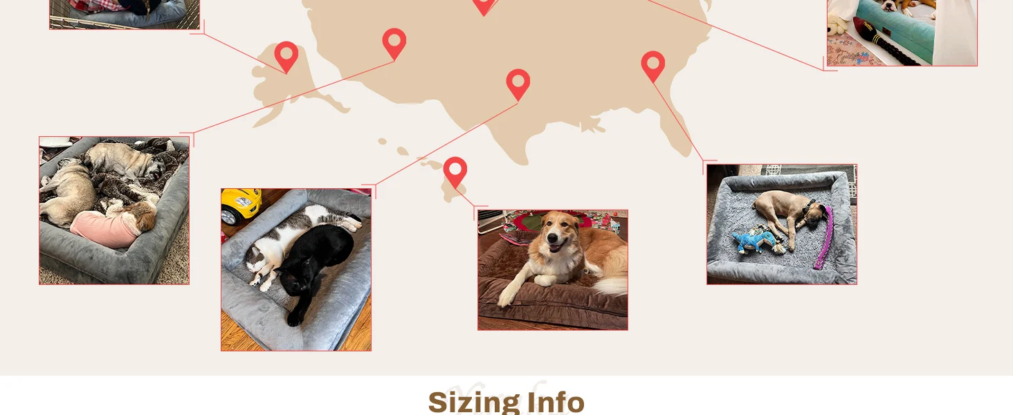 washable dog bed