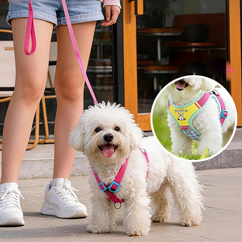 Adjustable Dog Harness And Leash Set For Small Dogs Walking_voghion.com