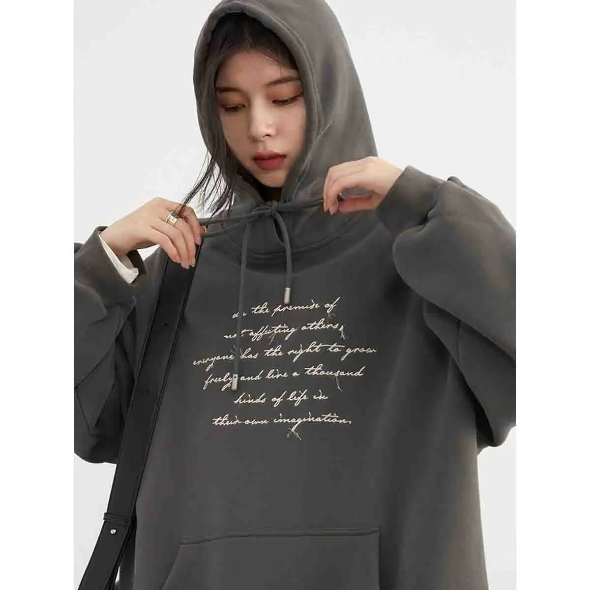 chic-ven-korean-women's-hoodies-casual-letter-embroidery-loose-school-long-sleeve-plush-tops-graphic-sweatshirts-winter-new-2023