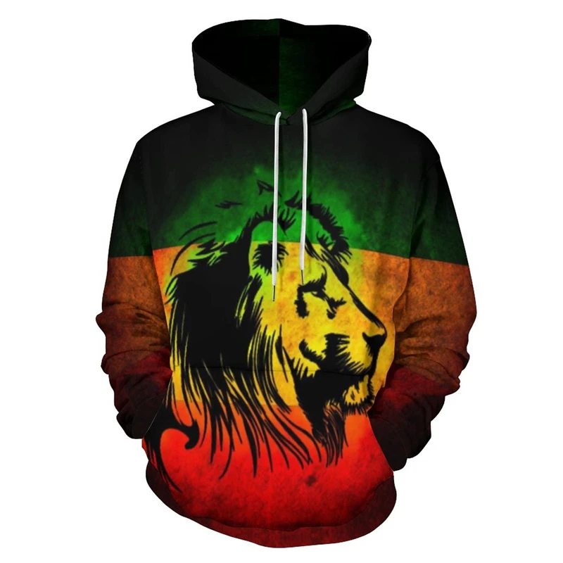 Hooded Sweatshirt Back View