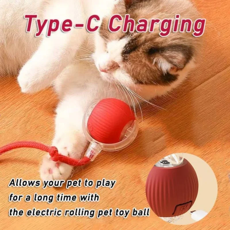 Automatic Rolling Pet Toy Ball 2