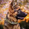 2025 NewPractical Dogs Collar Adjustable Duarable Nylon German Shepard For Medium Large Walking Training Pets Accessories 4