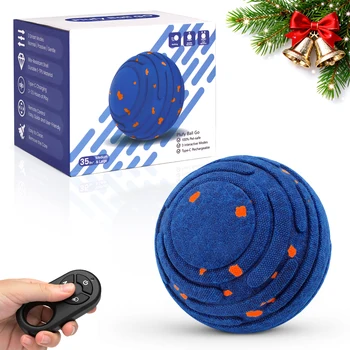 Interactive Moving Dog Ball 1