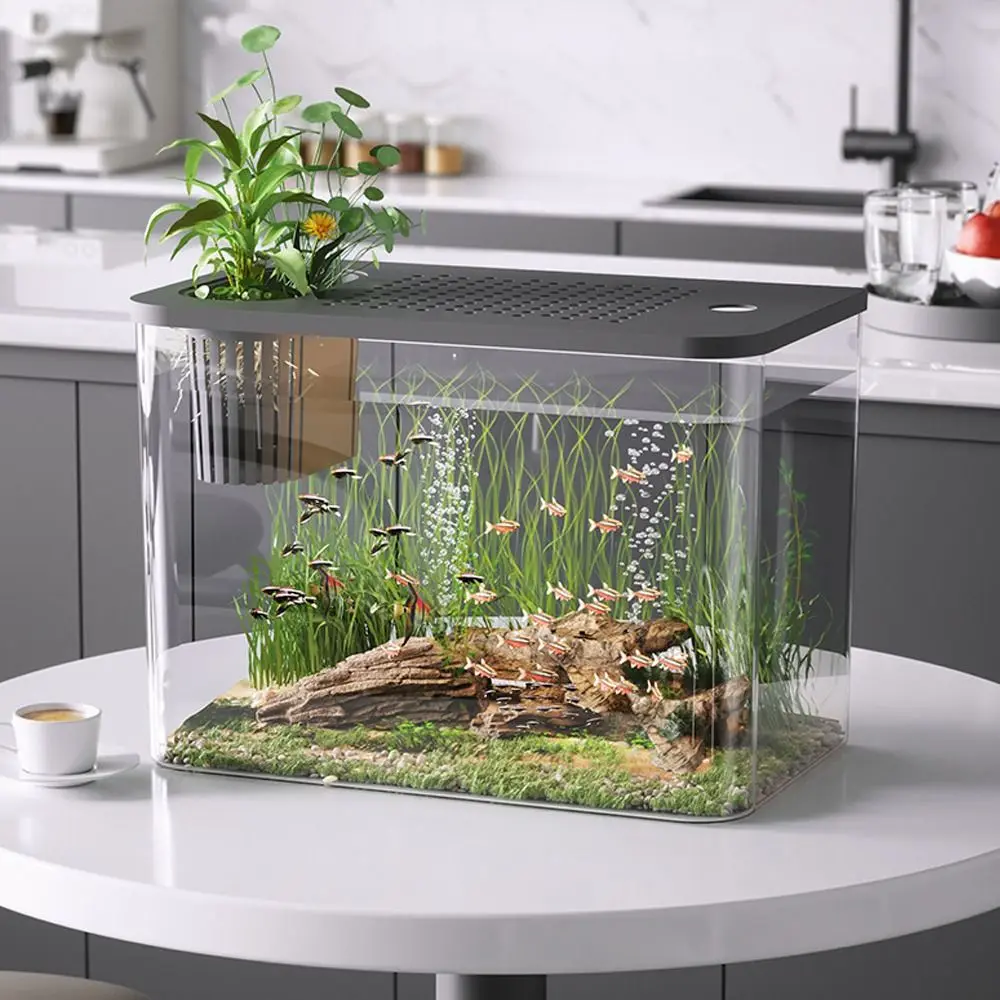 Desktop Aquarium with Lid 5