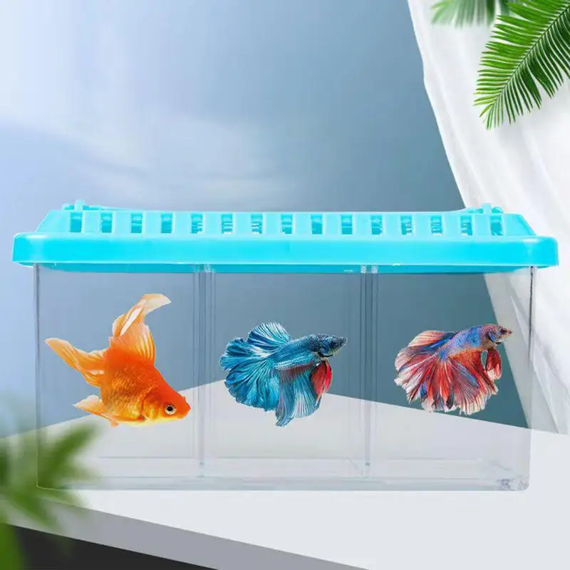 Betta Aquarium Transparent Fish tank Removable Dividers Small Fish Bowl Multi Compartment Layout decorative Aquarium